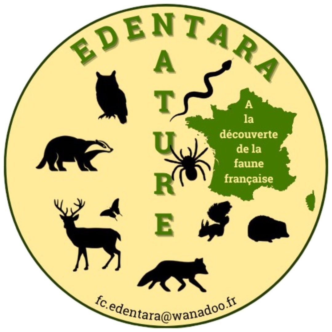 EDENTARA